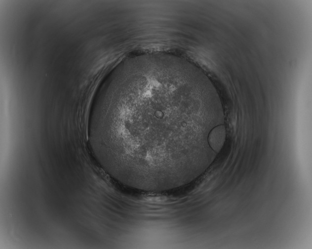 X0000087370746200704201227
