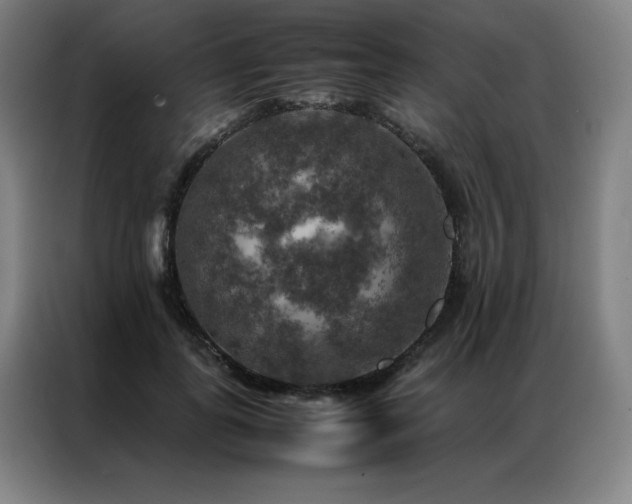 X0000087370747200704201227