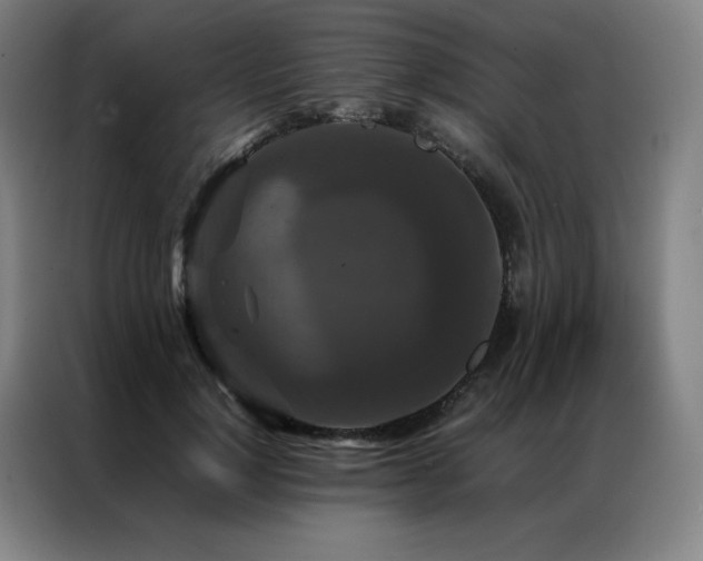 X0000087370748200704201227