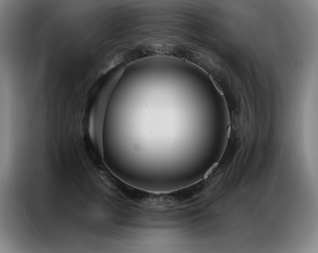 X0000087370752200704201227