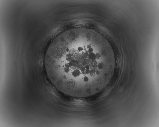 X0000087370753200704201227