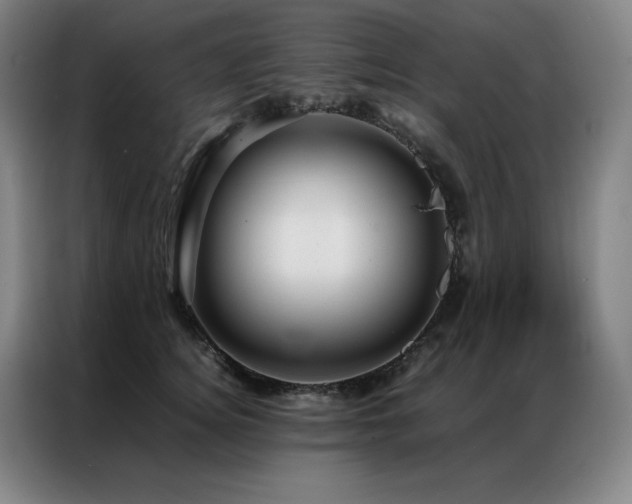 X0000087370756200704201227