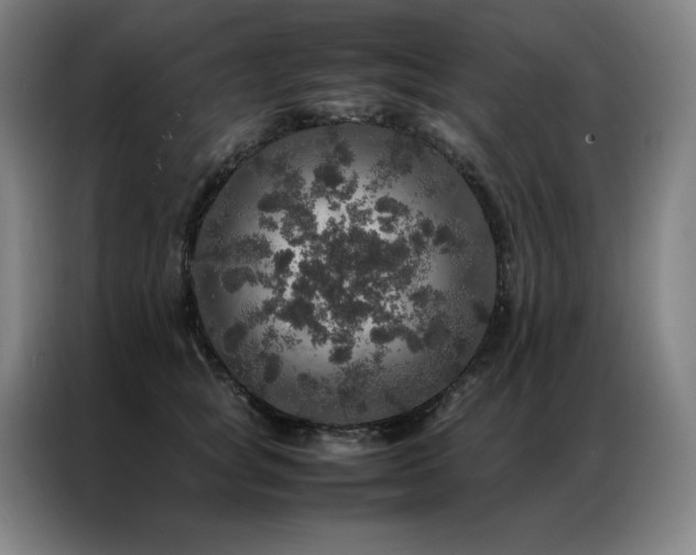 X0000087370757200704201227