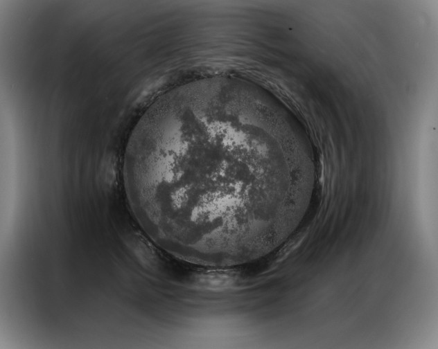 X0000087370758200704201227