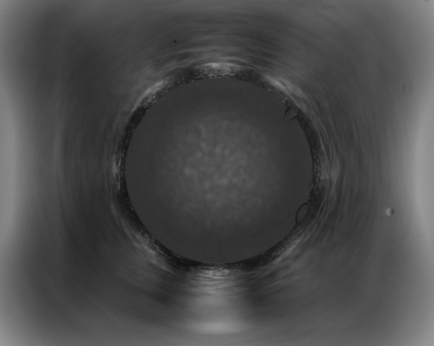 X0000087370759200704201227
