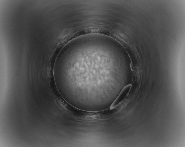 X0000087370760200704201228