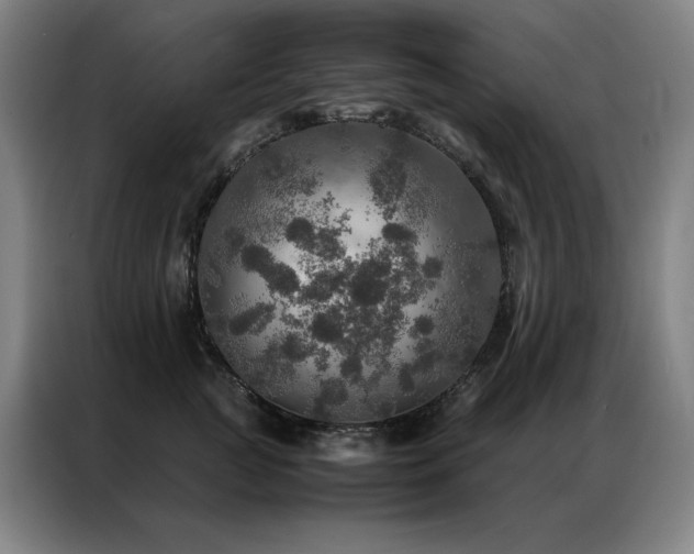 X0000087370761200704201228