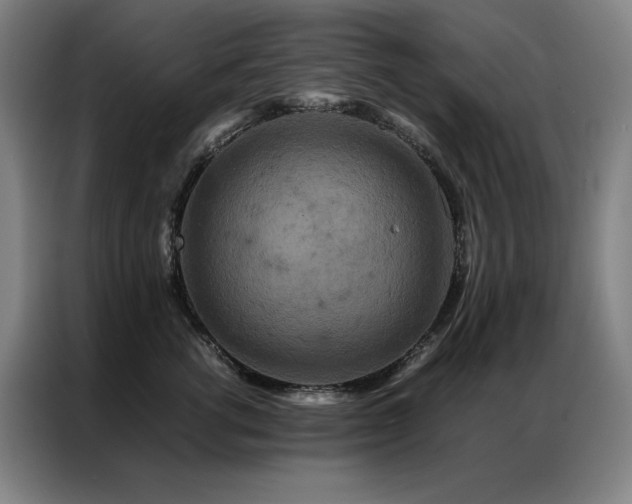 X0000087370762200704201228