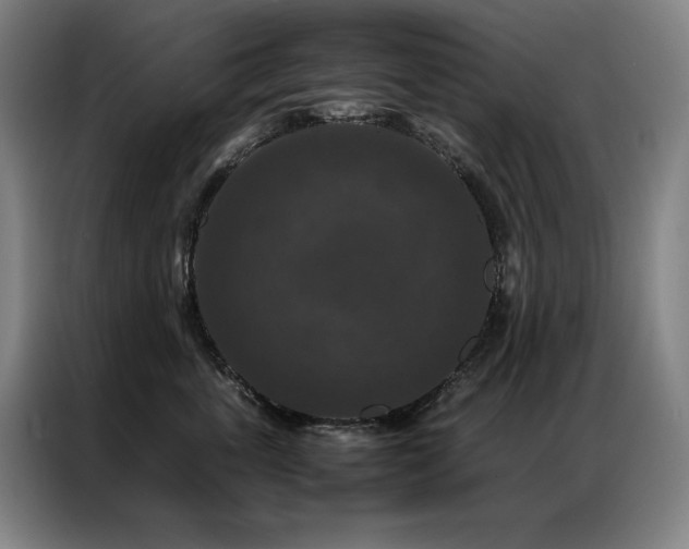 X0000087370763200704201228