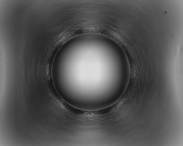 X0000087370764200704201228