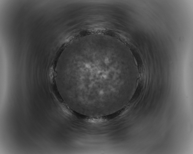 X0000087370767200704201228