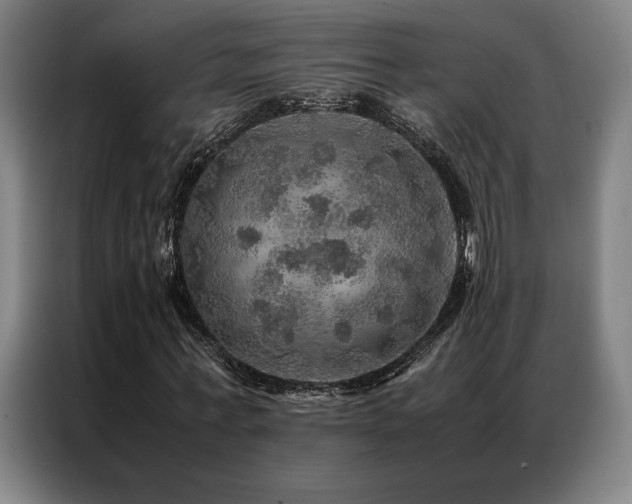 X0000087370771200704201227