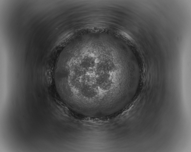 X0000087370774200704201227