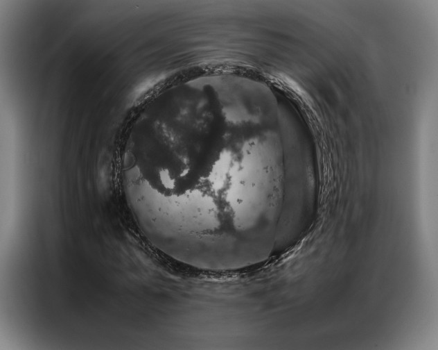 X0000087370775200704201227