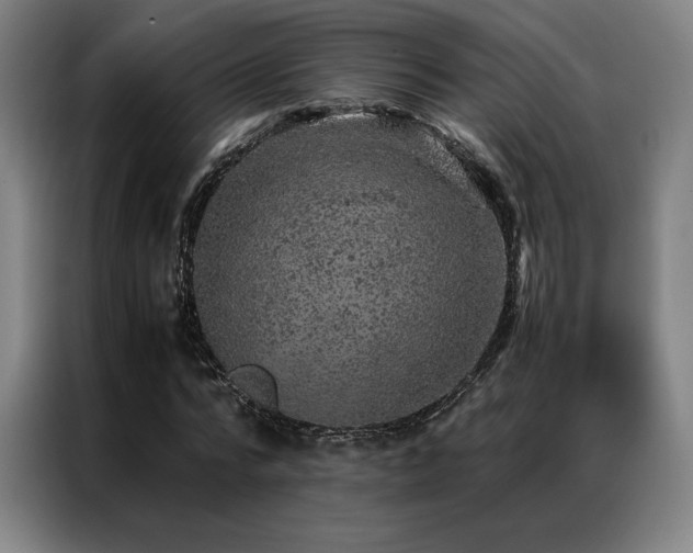 X0000087370776200704201227