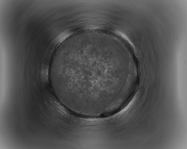 X0000087370777200704201227