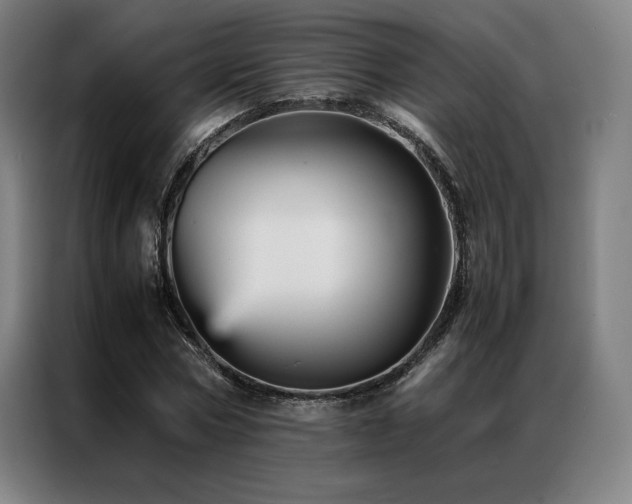X0000087370778200704201227