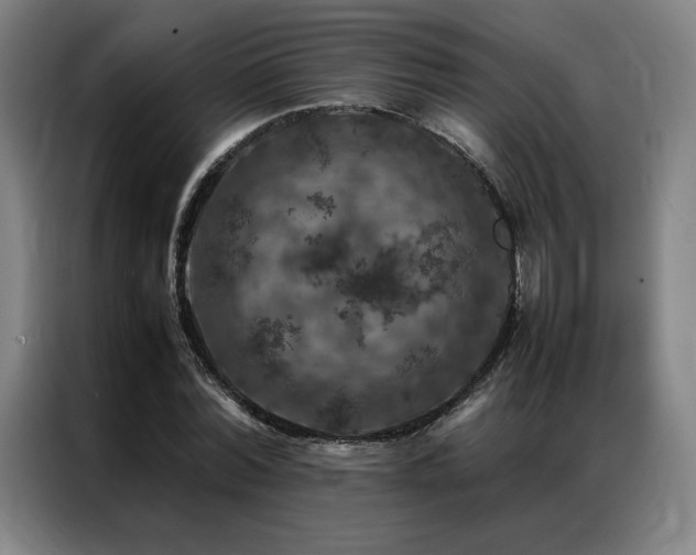 X0000087370780200704201227