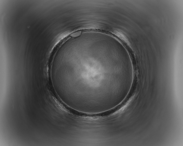 X0000087370781200704201227