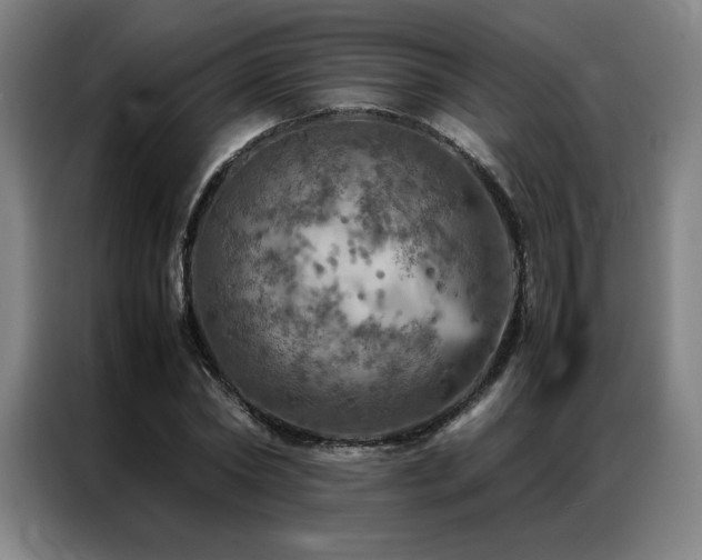 X0000087370782200704201227