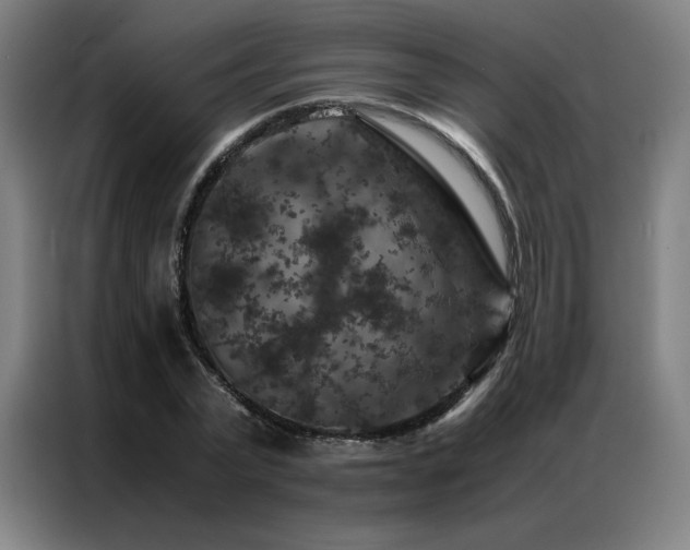 X0000087370783200704201227