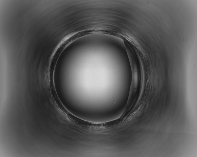 X0000087370784200704201227