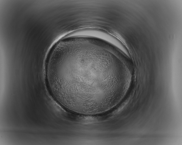 X0000087370787200704201227