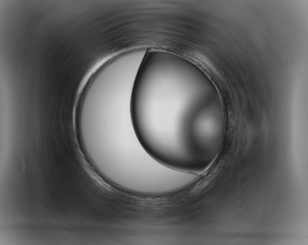 X0000087370788200704201227
