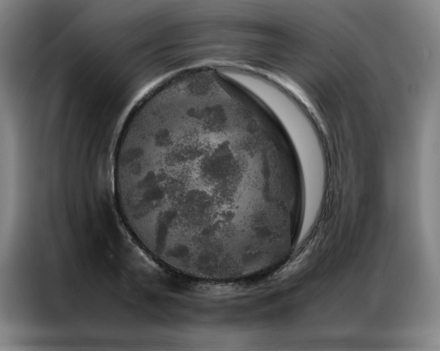 X0000087370791200704201227