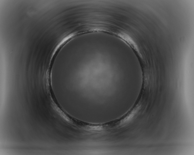 X0000087370798200704201227