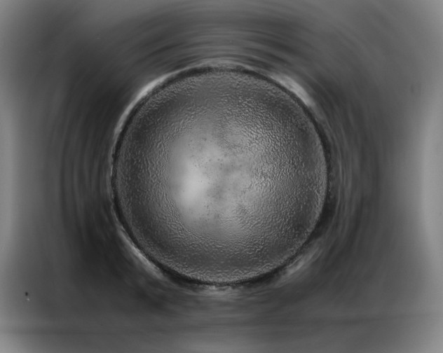 X0000087370799200704201227