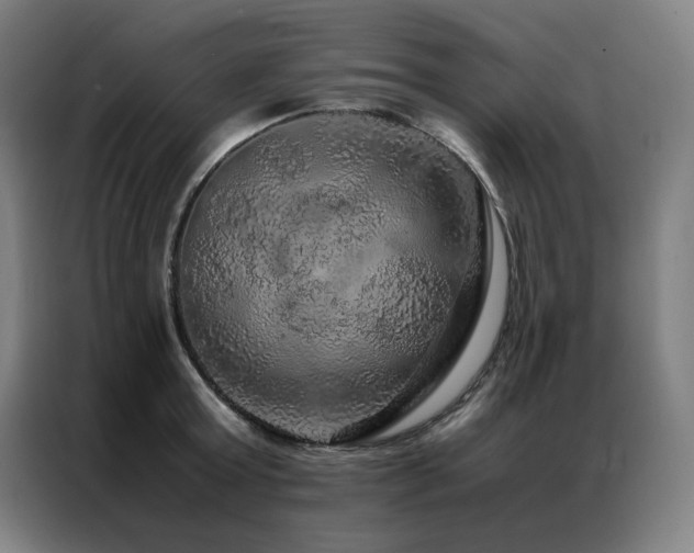 X0000087370803200704201227