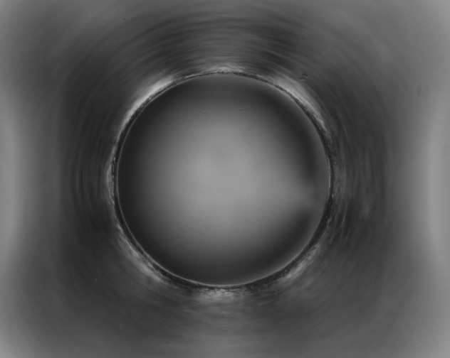 X0000087370806200704201227