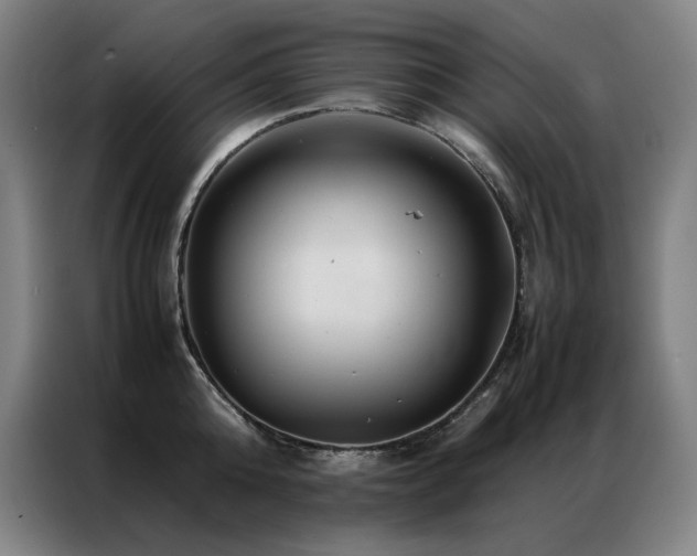 X0000087370808200704201227