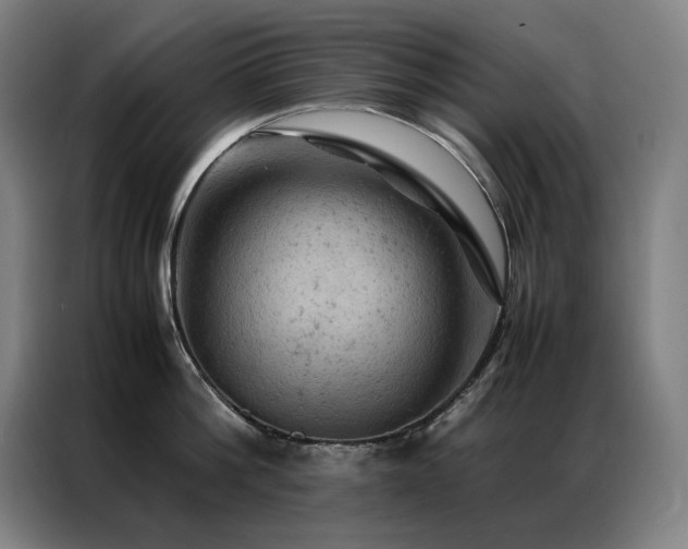 X0000087370812200704201227