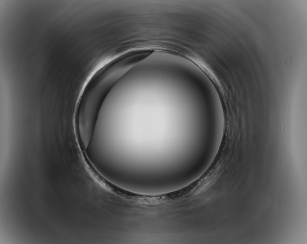 X0000087370813200704201227