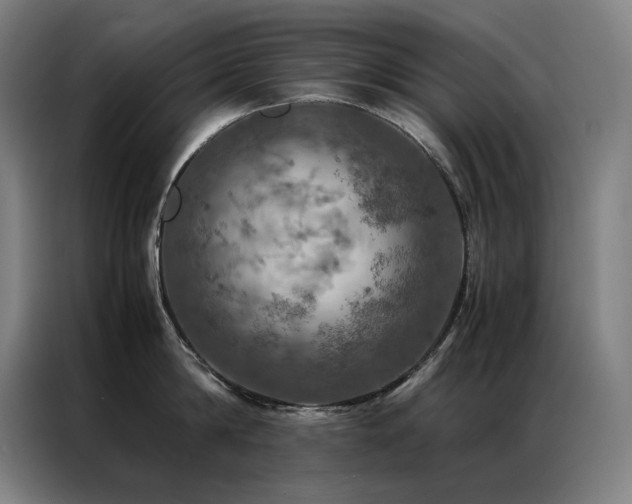 X0000087370814200704201227