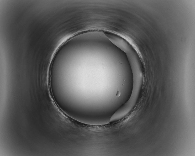 X0000087370815200704201227