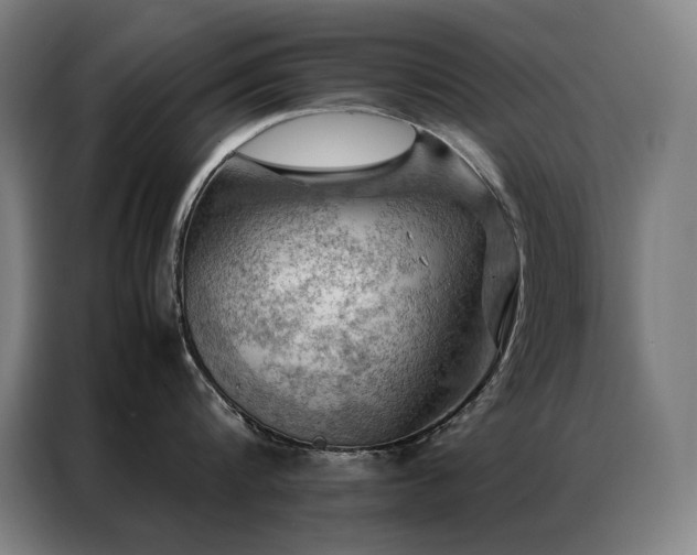 X0000087370816200704201227