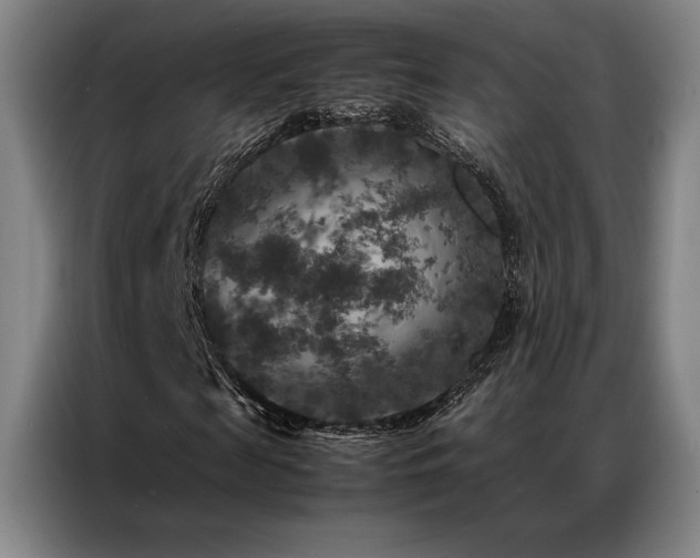 X0000087370817200704201226