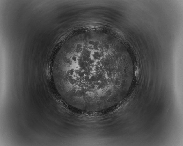 X0000087370819200704201226