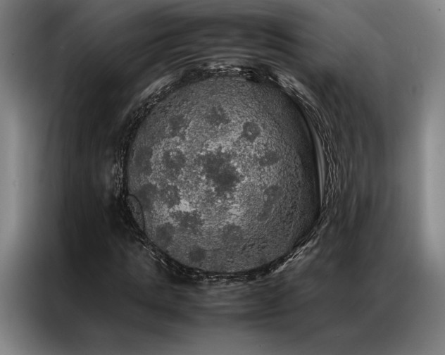 X0000087370821200704201226