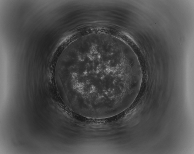 X0000087370823200704201226