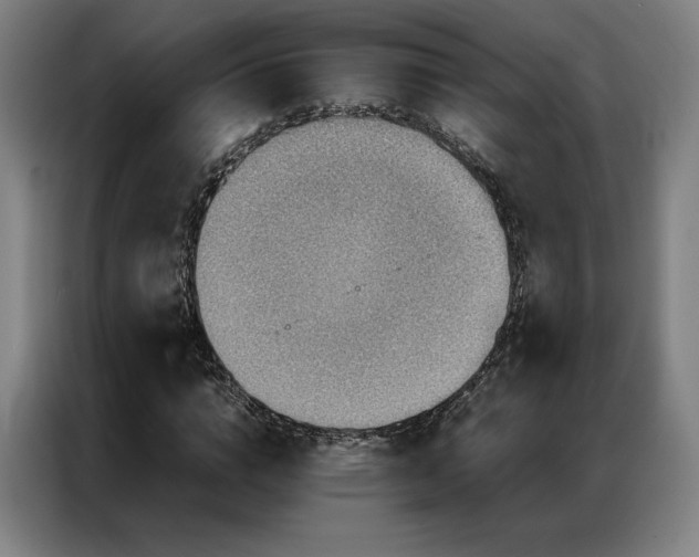 X0000087370824200704201226