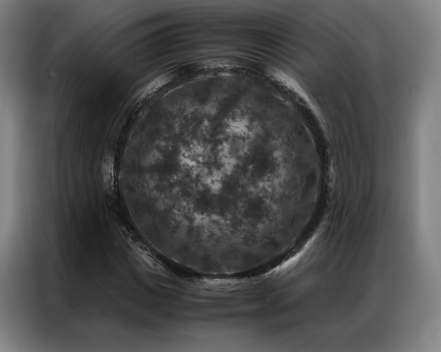 X0000087370825200704201226