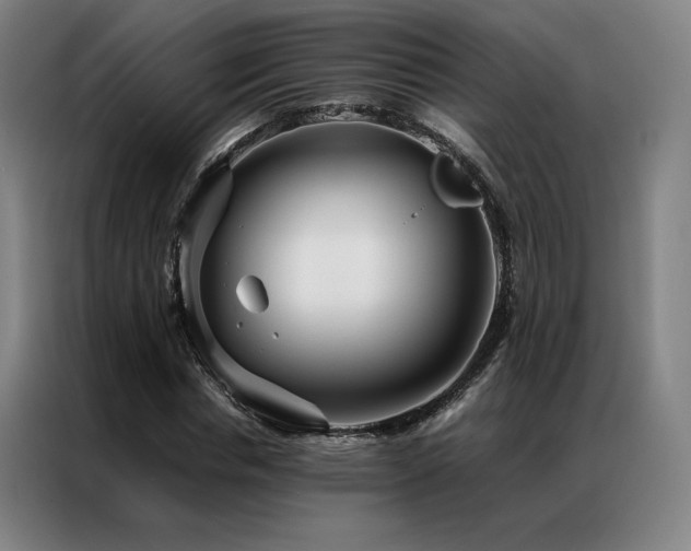 X0000087370826200704201226