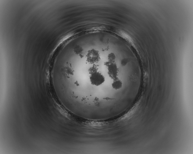 X0000087370827200704201226