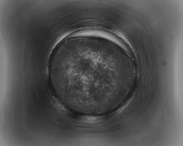 X0000087370829200704201226