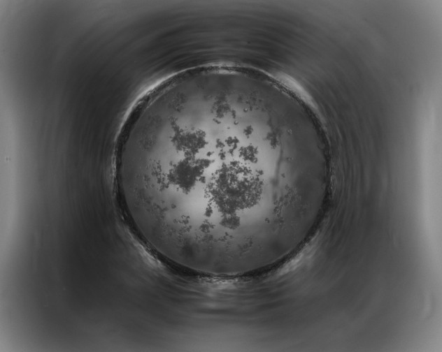 X0000087370831200704201226