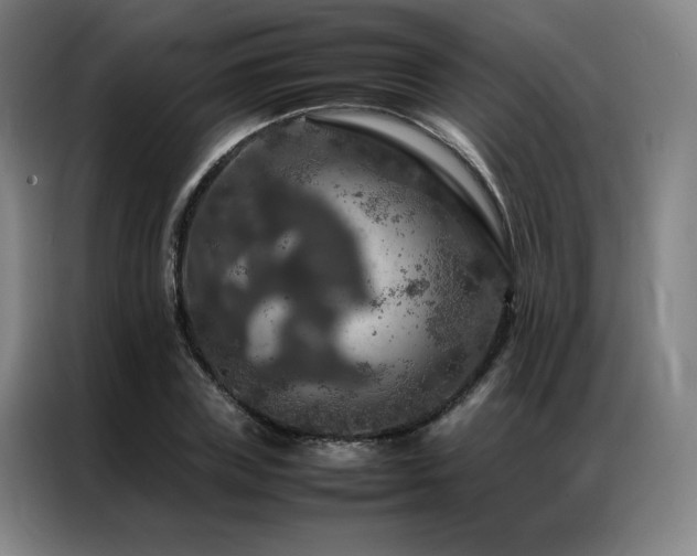 X0000087370835200704201226